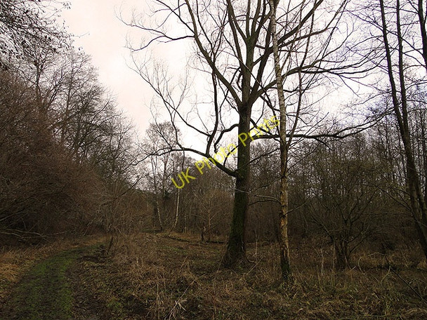 Photo 6"x4" Track down from the marshes at Bath Hills, Ditchingham Ditchingham c2011