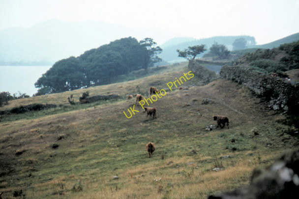 Photo 6"x4" Crummock Water - 1983 Buttermere\/NY1717 c1983