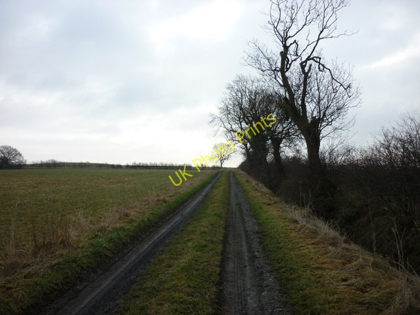 Photo 6"x4" Walking south from Barnoldby le Beck Barnoldby le Beck c2011