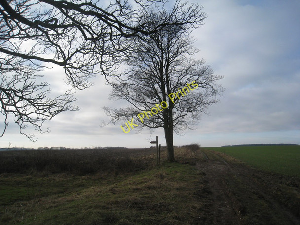 Photo 6"x4" The path to Raisthorpe parts from Centenary Way Wharram Percy c2011