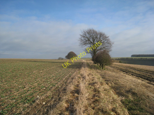 Photo 6"x4" Above Fairy Dale Wharram Percy c2011