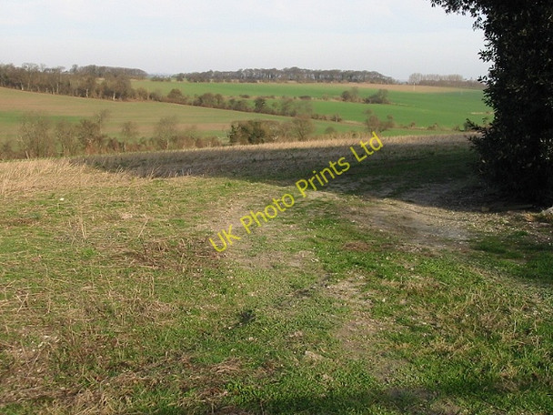 Photo 6"x4" View N from Thornton Lane Knowlton\/TR2853 c2008