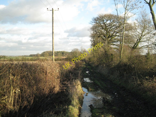 Photo 6"x4" Canada Lane Littleworth\/SP2363 c2011