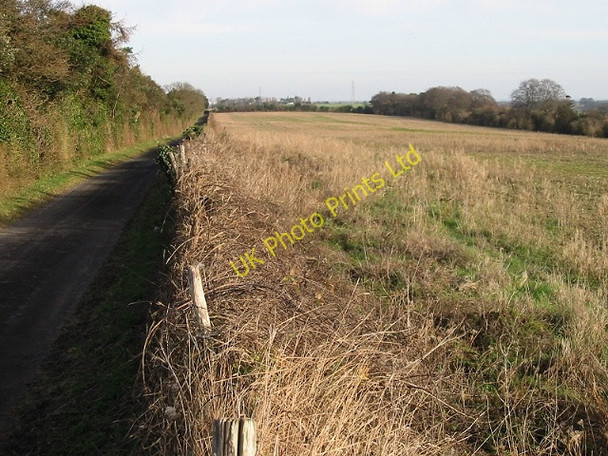 Photo 6"x4" Thornton Lane and adjacent field Knowlton\/TR2853 c2008