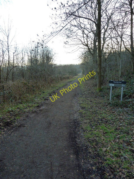 Photo 6"x4" Thornhill Trail Thornhill\/SK1983 c2011