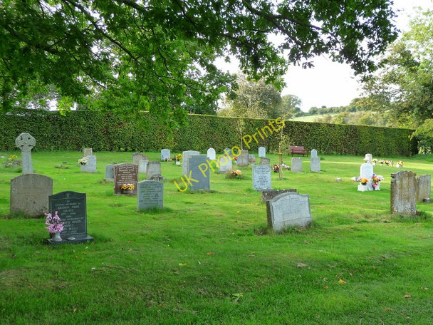 Photo 6"x4" Longstock - Graveyard Longstock c2010