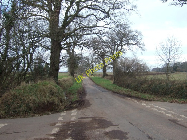 Photo 6"x4" Road running north from Starved Oak Cross Pye Corner\/SX9198 c2011