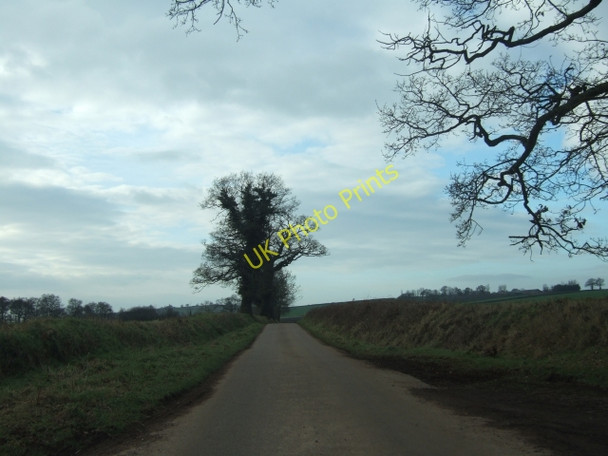 Photo 6"x4" Rixenford Lane to Shute Nettacott c2011