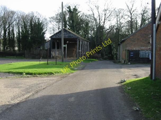 Photo 6"x4" Home Farm, Knowlton Knowlton\/TR2853 c2008