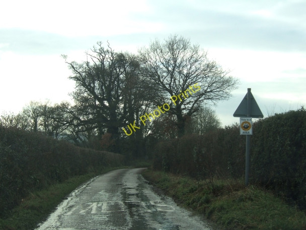 Photo 6"x4" The road west from Shute Cross Nettacott c2011