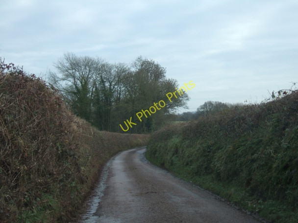 Photo 6"x4" Lane south from Wyke Cross Newton St Cyres c2011