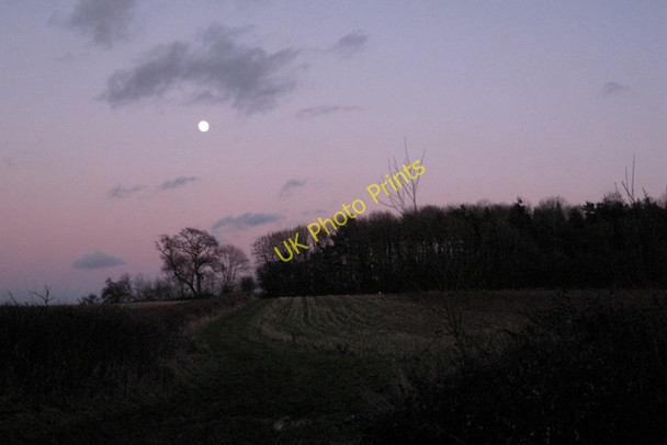 Photo 6"x4" Ardenhill Spinney, moonrise Littleworth\/SP2363 c2011