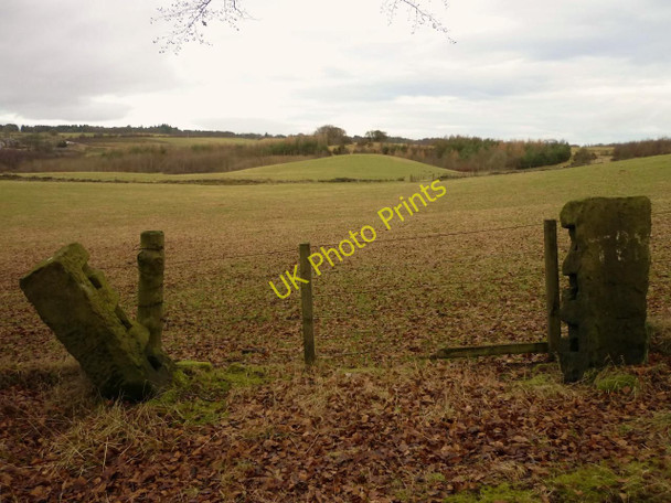Photo 6"x4" Old Field Entrance, Glenhove Cumbernauld c2011