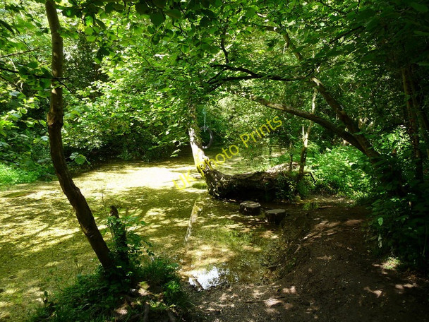 Photo 6"x4" Quidhampton - Riverside Walk Foxdown c2010