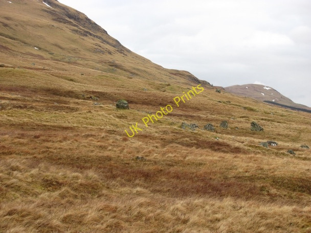 Photo 6"x4" Rough grazing, Ben Lawers Milton Morenish c2011