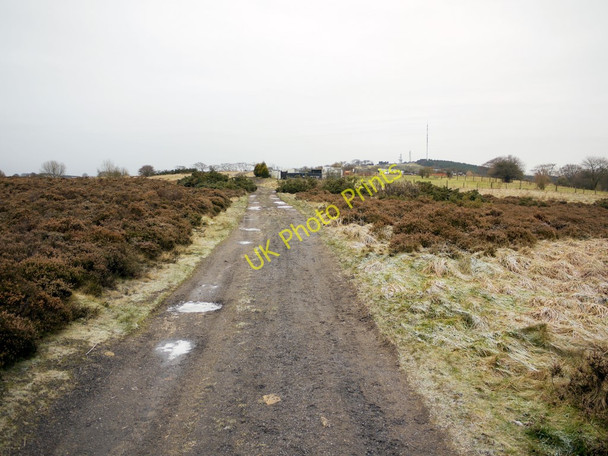 Photo 6"x4" Track east of Dipton Annfield Plain c2011