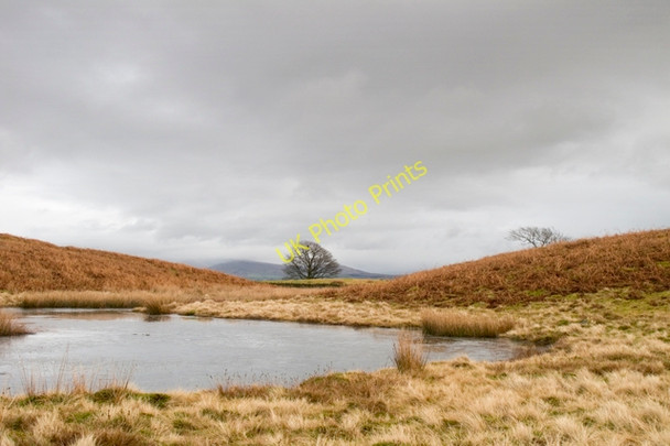 Photo 6"x4" Low Taggleshaw Tarn Cowen Head c2011