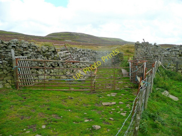 Photo 6"x4" Sheep pens at Cringley Healaugh\/SE0199 c2010
