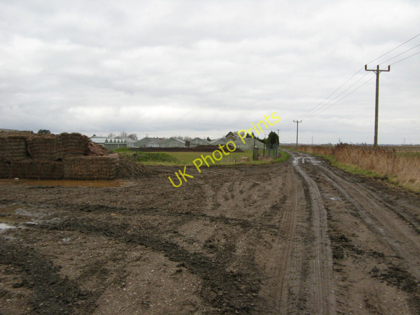 Photo 6"x4" Nursery Greenhouses Cowbit c2011