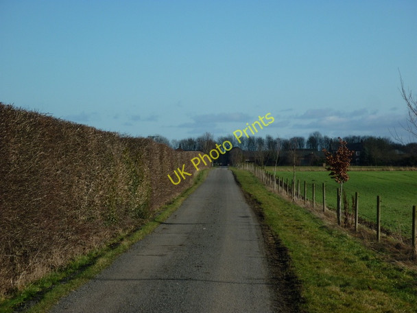 Photo 6"x4" The road to Decoy Farm Aike c2011