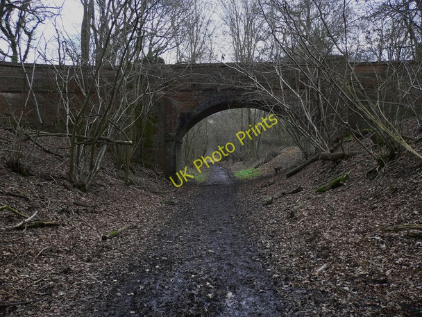 Photo 6"x4" Bridge over the Downs Link by Lodge Copse Alfold Crossways c2011