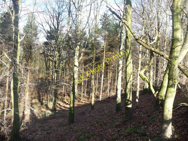 Photo 6"x4" Bullcliff North Wood Midgley\/SE2714 c2011