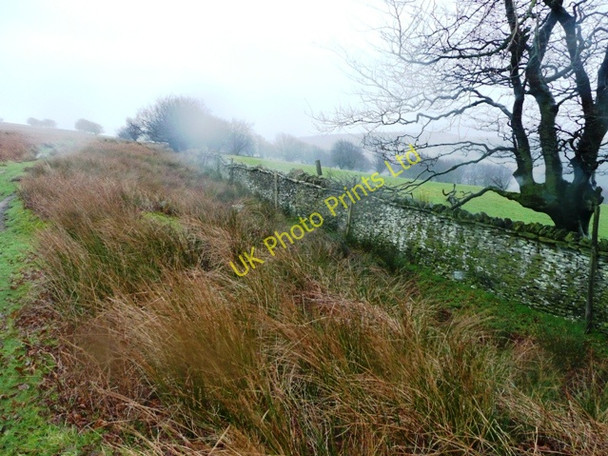 Photo 6"x4" At the edge of the moors Abersychan c2008