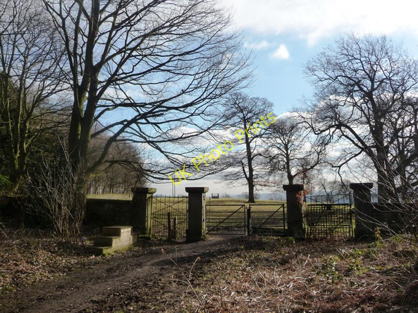 Photo 6"x4" From plantation to parkland Midgley\/SE2714 c2011