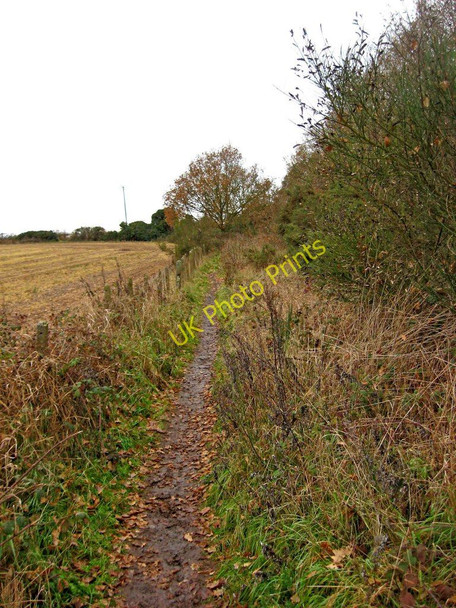 Photo 6"x4" Public footpath from Leapgate Country Park to Wilden Top Road Stourport-on-Severn c2010