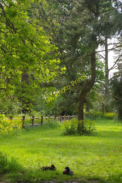 Photo 6"x4" Kew Gardens: spring Brentford c2008