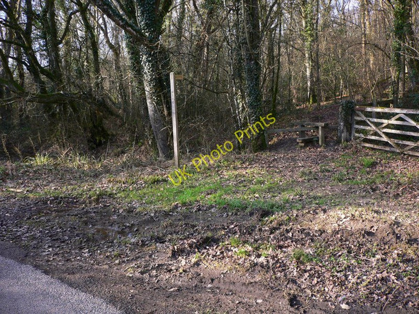 Photo 6"x4" Footpath leaves Kirdford Road near Boxal Bridge Wisborough Green c2011