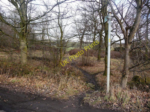 Photo 6"x4" Footpath through woodland, off Litherop Lane West Bretton\/SE2813 c2011