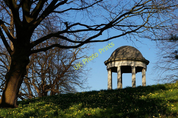 Photo 6"x4" Kew Gardens, daffodil season Brentford c2008