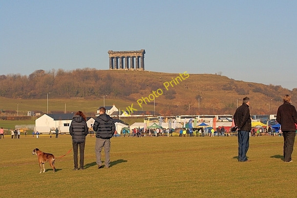 Photo 6"x4" Herrington Country Park New Herrington c2011
