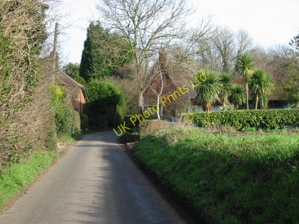 Photo 6"x4" A tropical looking Hay Lane, near Ham Felderland c2008