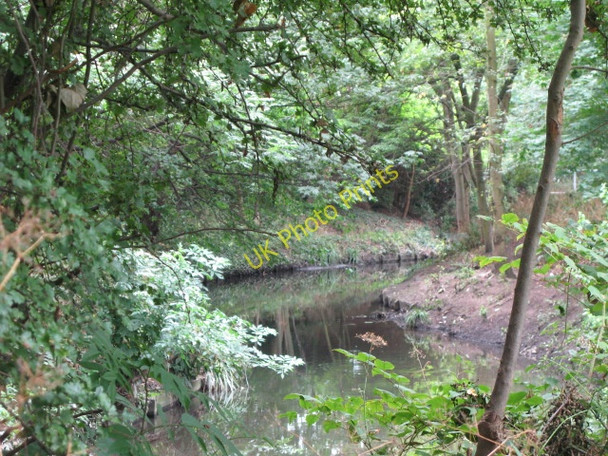 Photo 6"x4" The River Ravensbourne in Ladywell Fields (4) Catford\/TQ3873 c2009