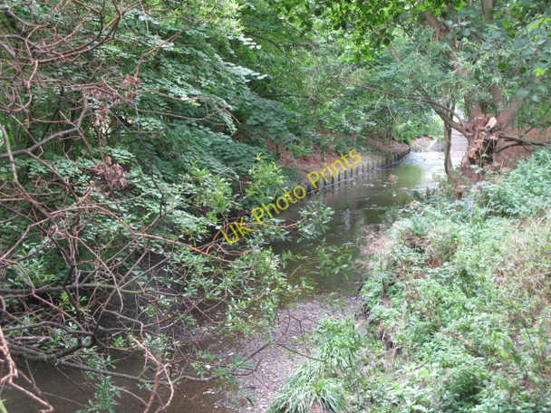 Photo 6"x4" The River Ravensbourne in Ladywell Fields (6) Catford\/TQ3873 c2009