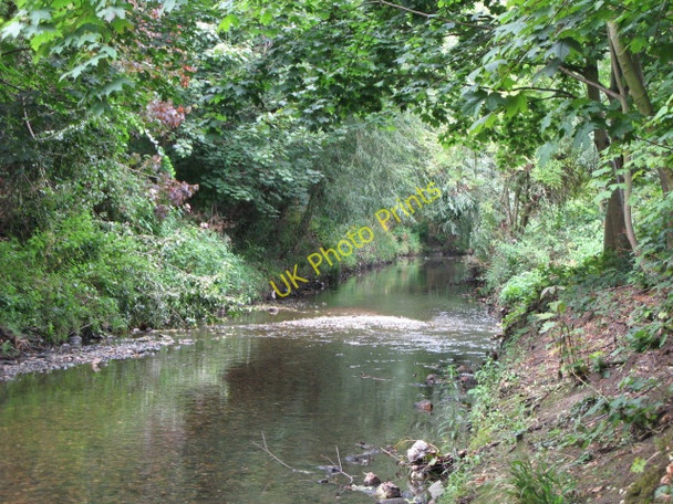 Photo 6"x4" The River Ravensbourne in Ladywell Fields (11) Catford\/TQ3873 c2009