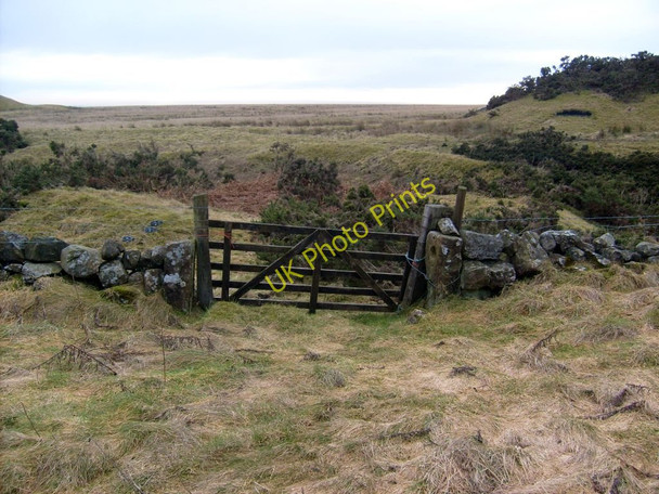 Photo 6"x4" Kilsyth hills, gate to Craigdouffie Banton\/NS7579 c2011