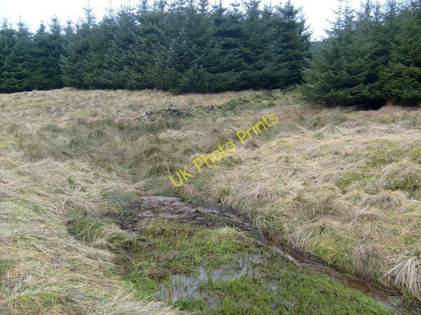Photo 6"x4" Craigdoufie Burn, source of eastern tributary Banton\/NS7579 c2011