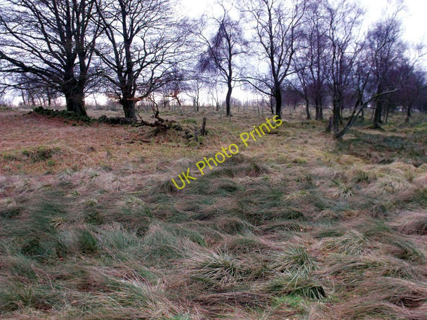 Photo 6"x4" Craigdoufie Burn, bridge Banton\/NS7579 c2011