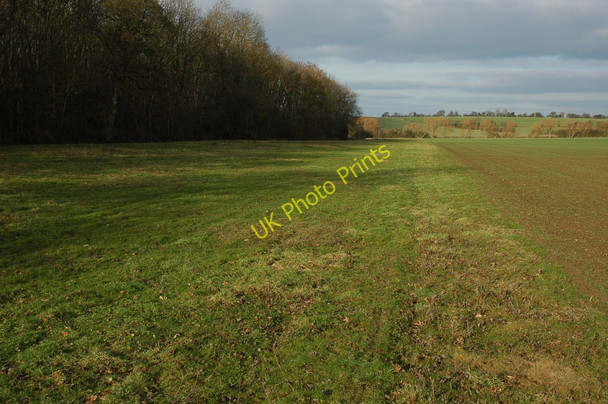 Photo 6"x4" Field headland beside Porter's Plantation Hinton Cross c2011