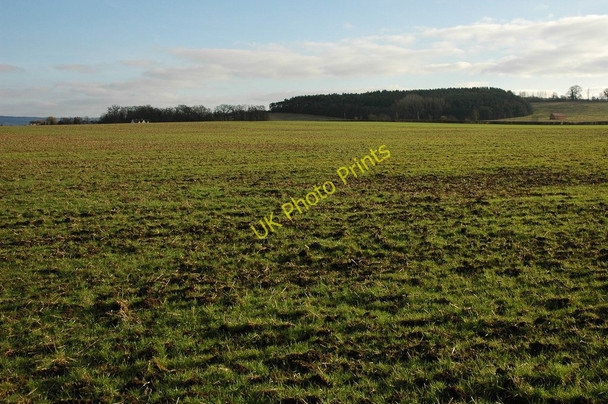 Photo 6"x4" View to Smith Hill Plantation Hinton Cross c2011