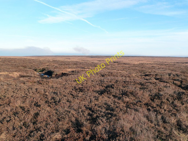 Photo 6"x4" Featherbed Moss Margery Hill c2011