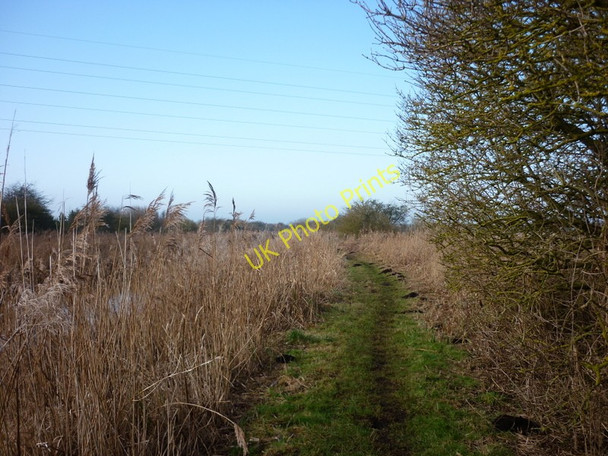 Photo 6"x4" Walking west along the Leven canal Aike c2011
