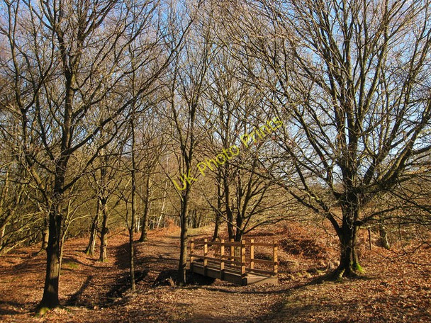 Photo 6"x4" Footbridge, Red House Common Red House Common c2011