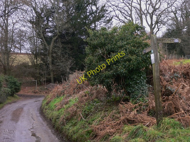 Photo 6"x4" The Greensand Way near Scotsland Farm Hascombe c2011