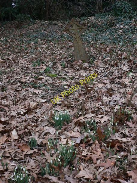 Photo 6"x4" Grave in Grafham churchyard Grafham\/TQ0241 c2011