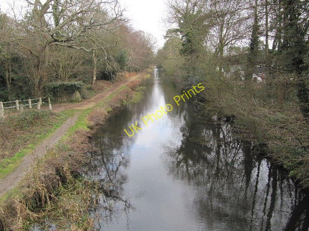 Photo 6"x4" Basingstoke Canal Pirbright c2011