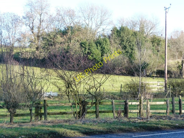 Photo 6"x4" Woodland on the side of Langbaurgh Ridge Langbaurgh c2011